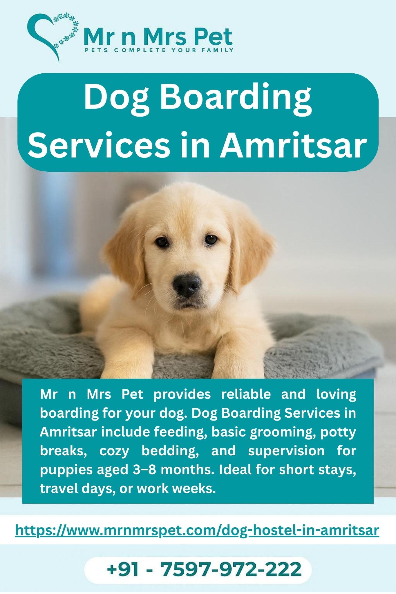 Dog Boarding Services in Amritsar